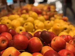 714-biocoop-voglans-magasin-alimentation-bio-pomme-saison.webp